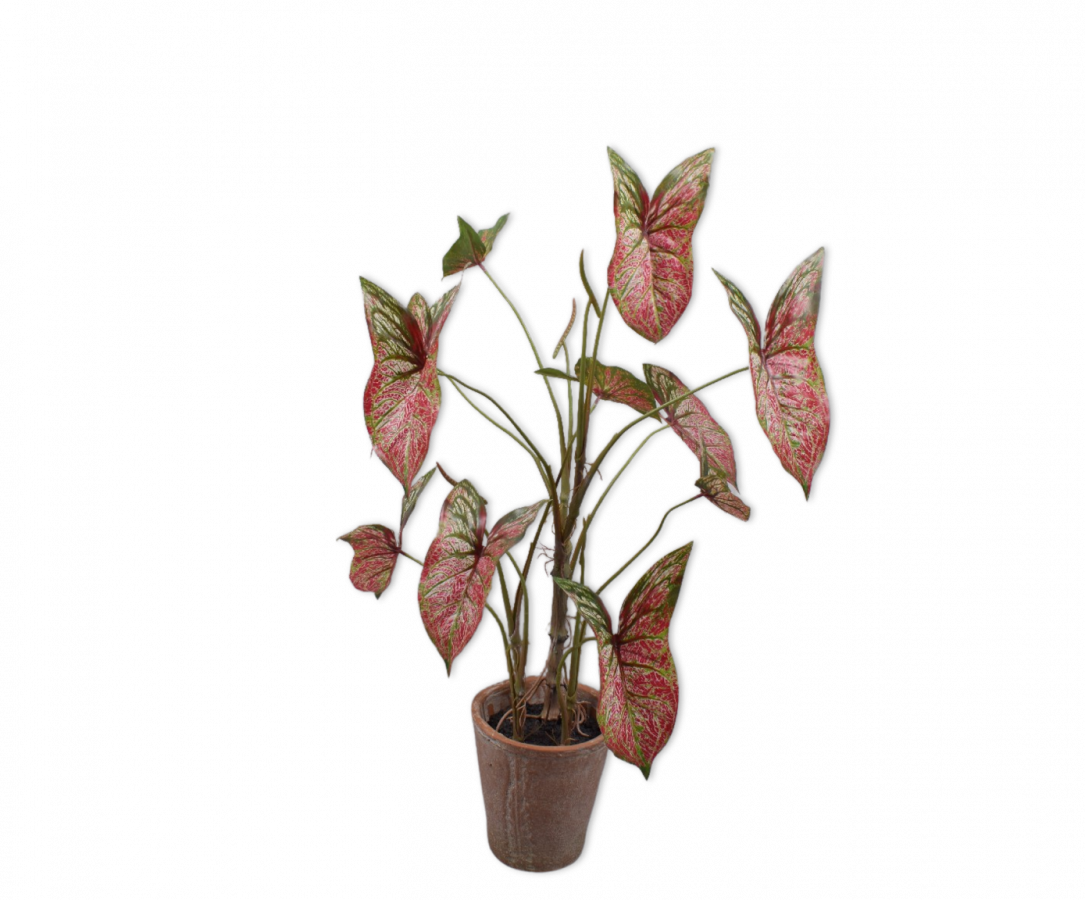 
                  
                    Kunstplant Caladium in pot 80 cm
                  
                