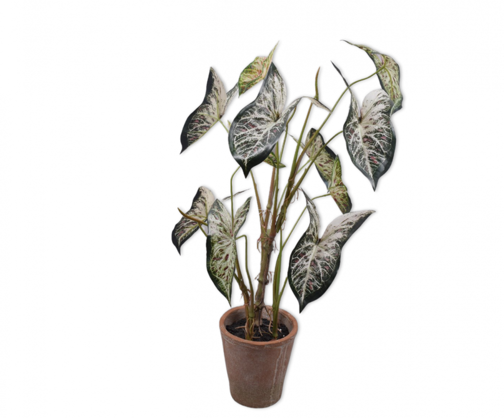 
                  
                    Kunstplant Caladium in pot 80 cm
                  
                