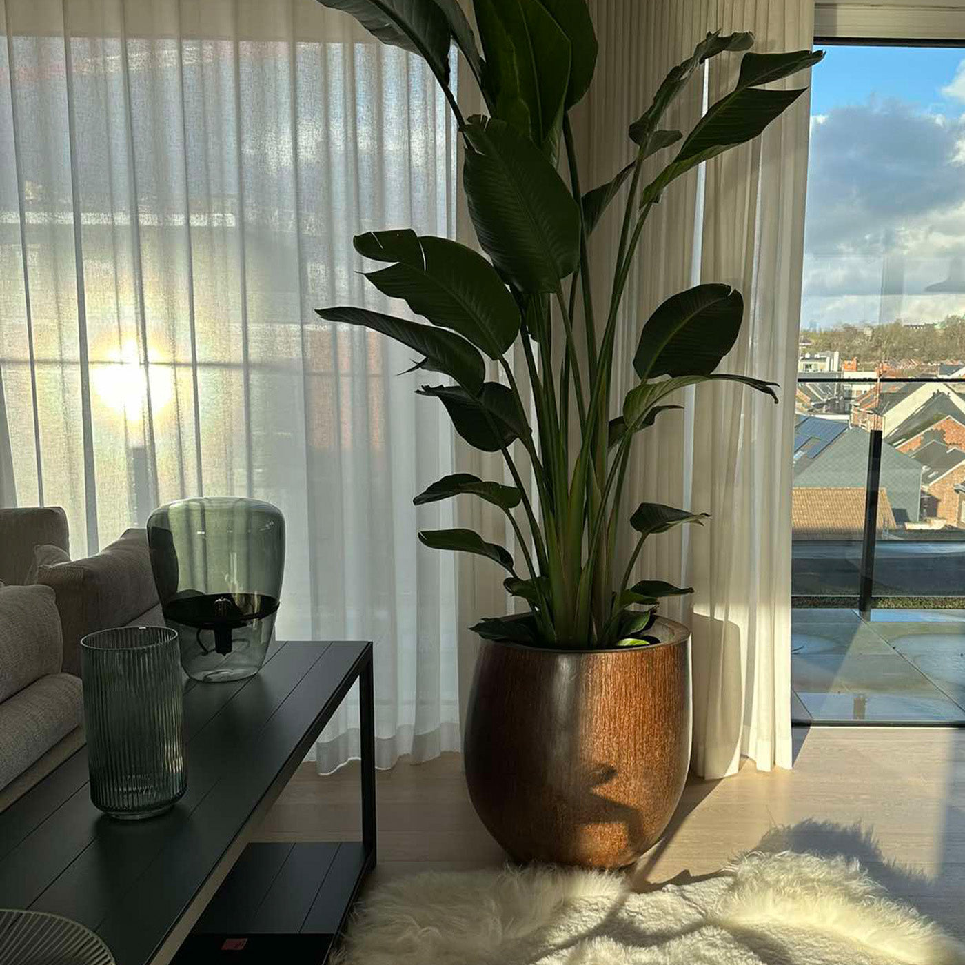 Palmpot