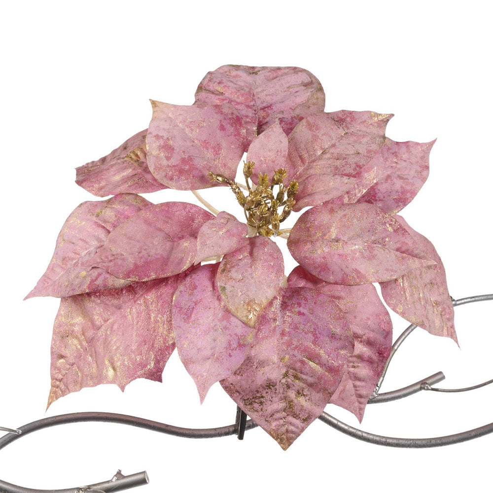 Goodwill Poinsettia Roze set van 2