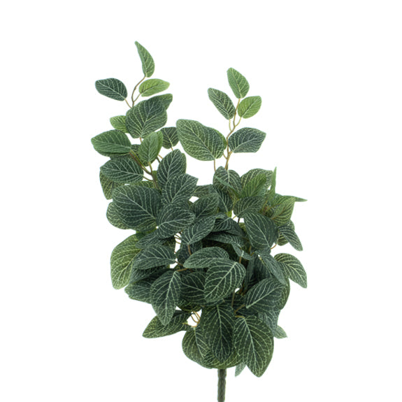 Kunstplant fittonia 58 cm