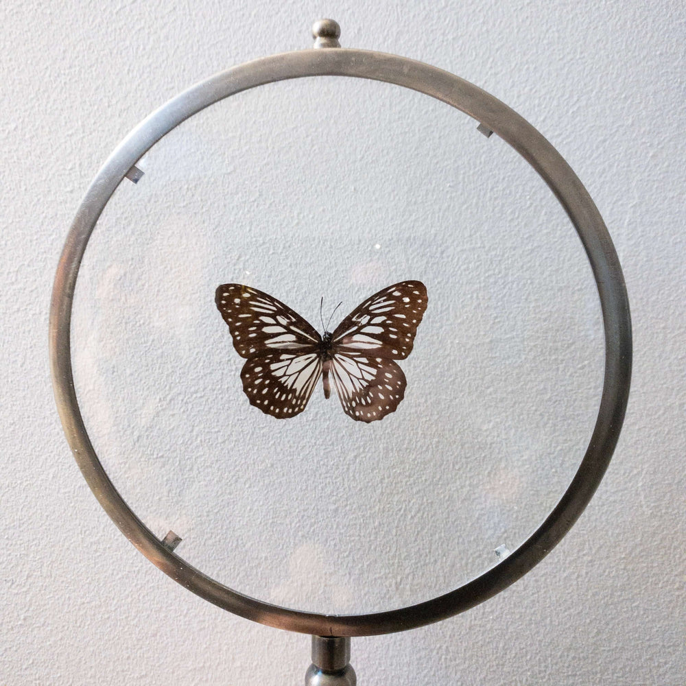 
                  
                    Vergrootglas met vlinders set van 2
                  
                