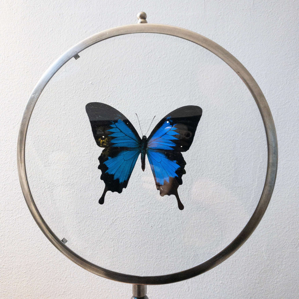 
                  
                    Vergrootglas met vlinders set van 2
                  
                