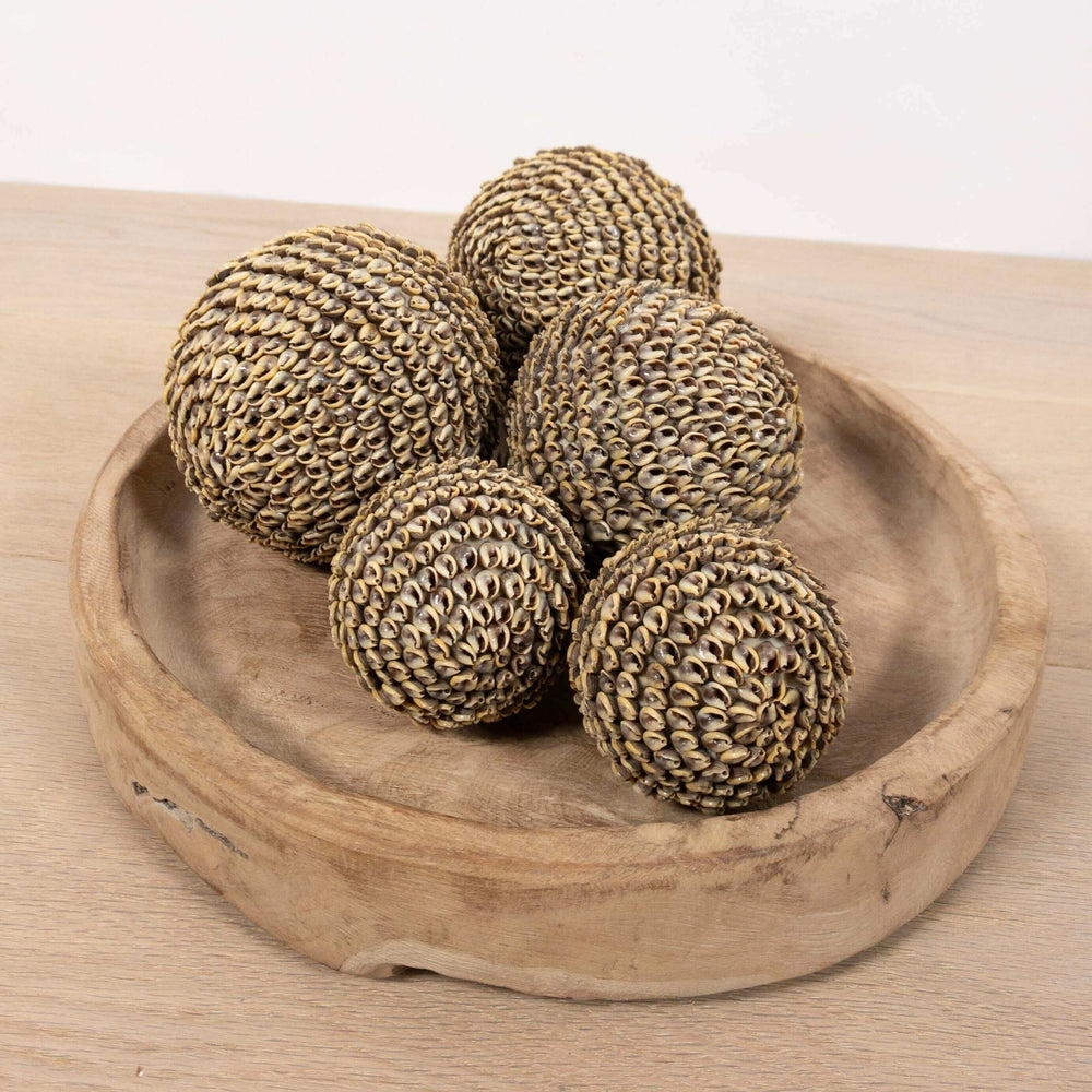 
                  
                    Decoratieve schelpen ballen
                  
                