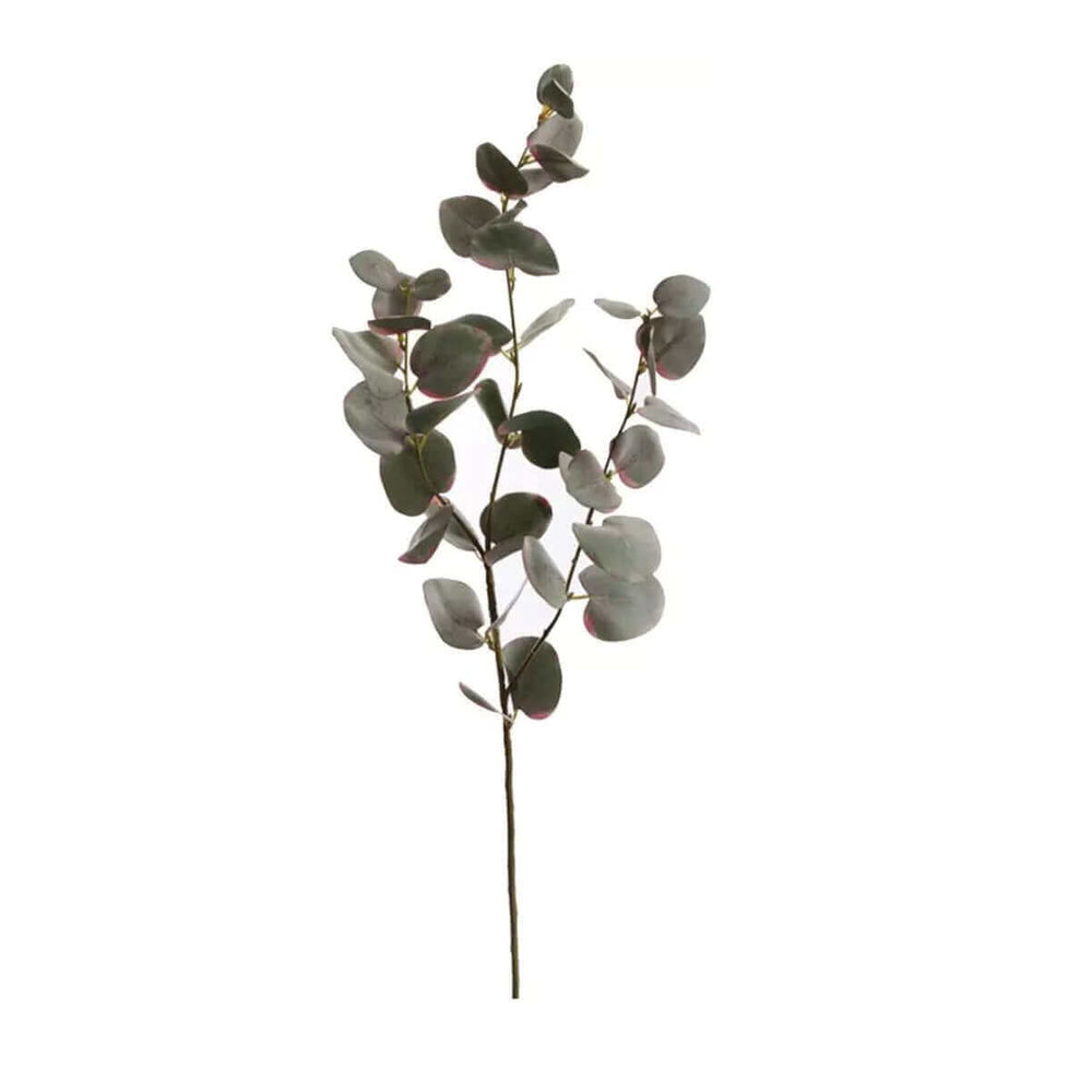 
                  
                    Silk-Ka eucalyptus tak 75 cm
                  
                