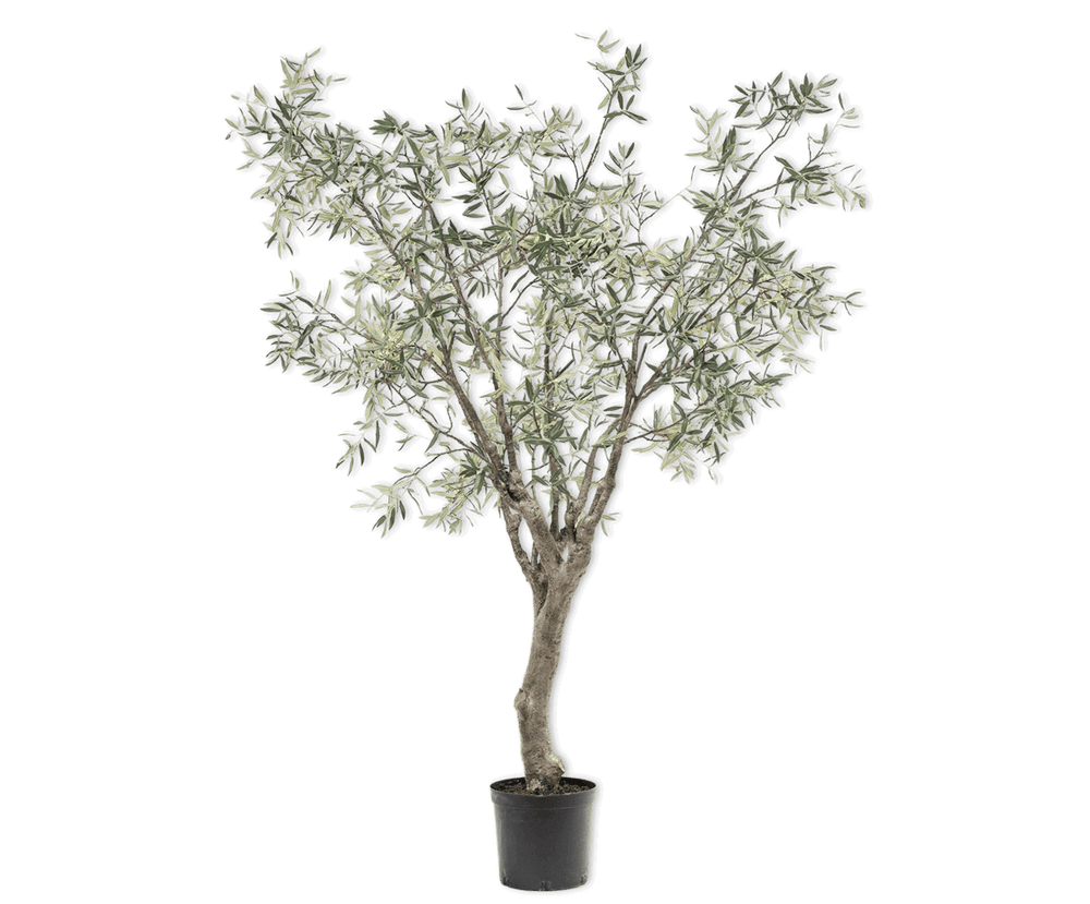 Silk-ka olijfboom groen 244 cm