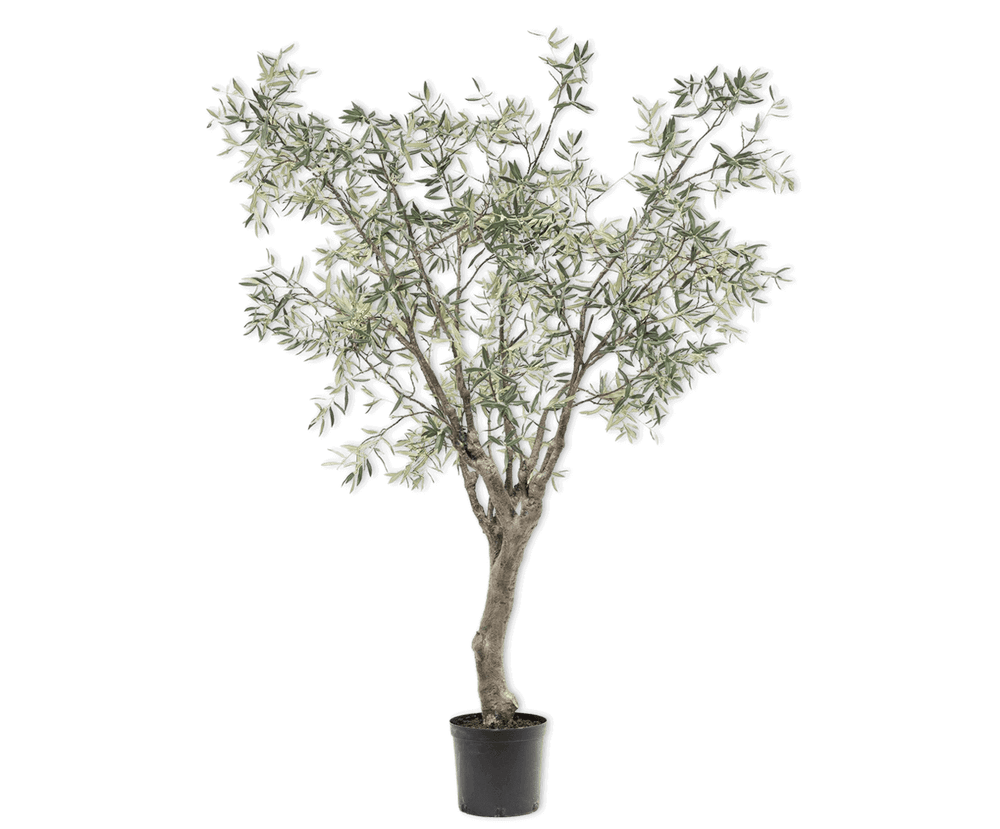 
                  
                    Silk-ka olijfboom groen 244 cm
                  
                