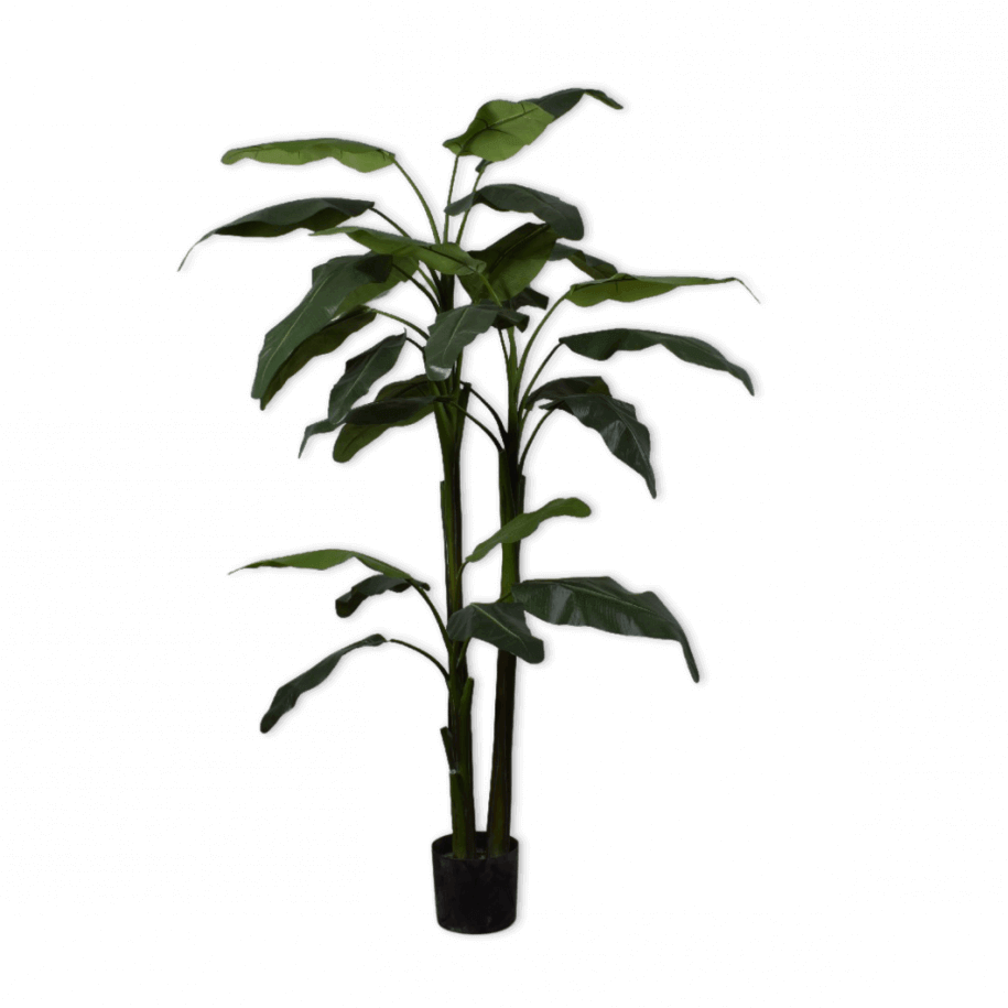 Silk-ka bananenplant groen 220 cm