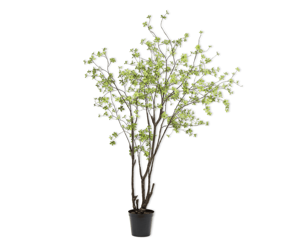 
                  
                    Silk-ka boom fijn groen 244 cm
                  
                