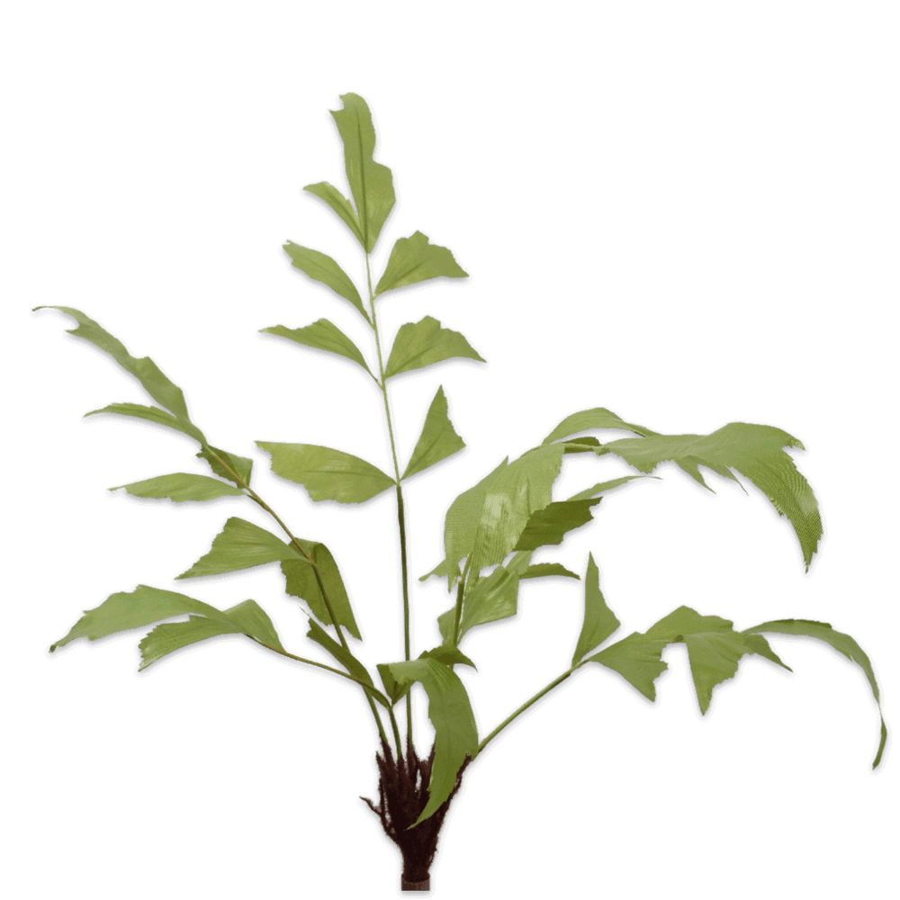 Silk-ka bush varen 68 cm