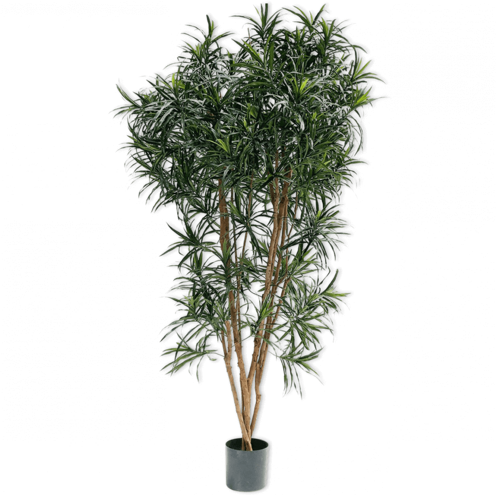 Silk-ka dracaena groen 183 cm