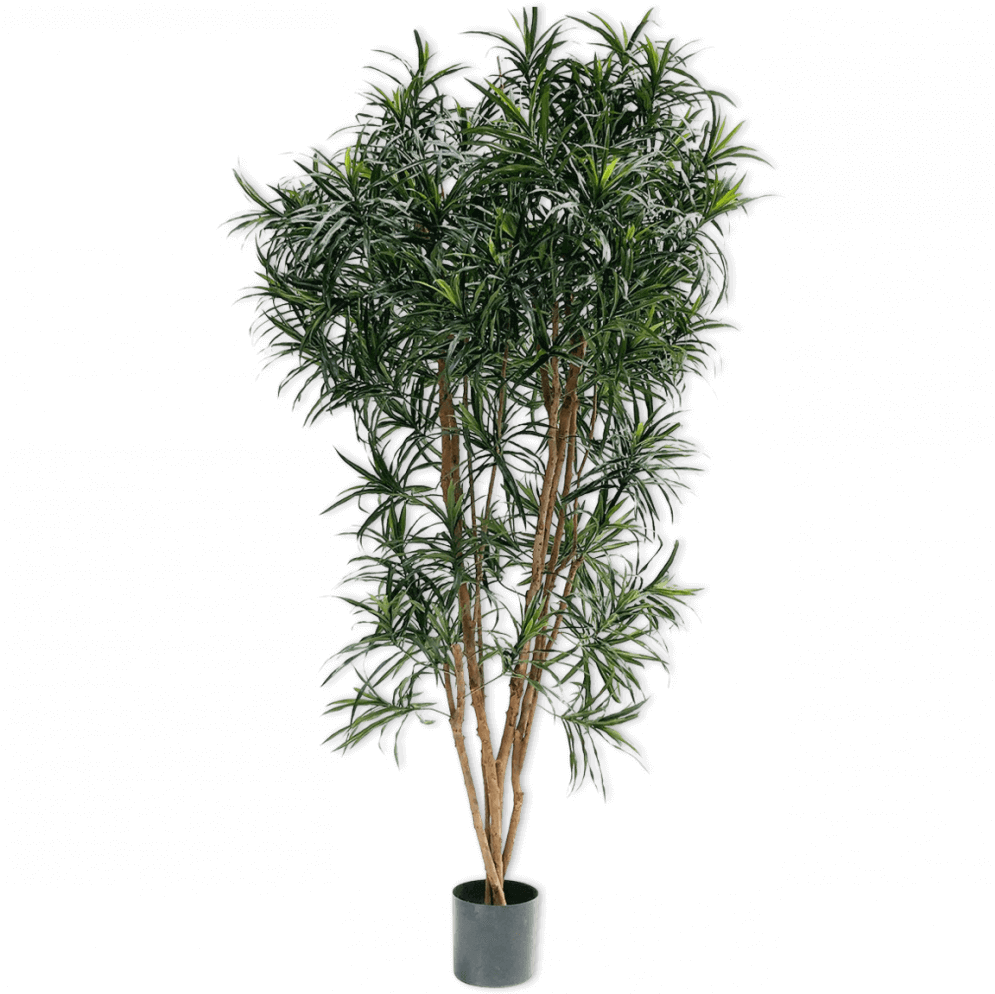 
                  
                    Silk-ka dracaena groen 183 cm
                  
                