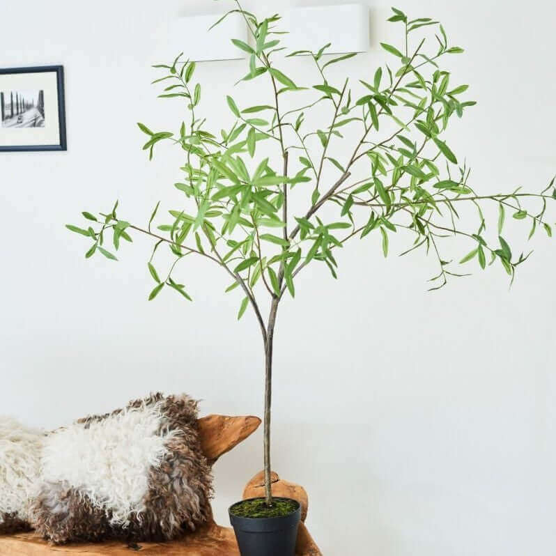 
                  
                    Silk-ka olijfboom groen 154 cm
                  
                
