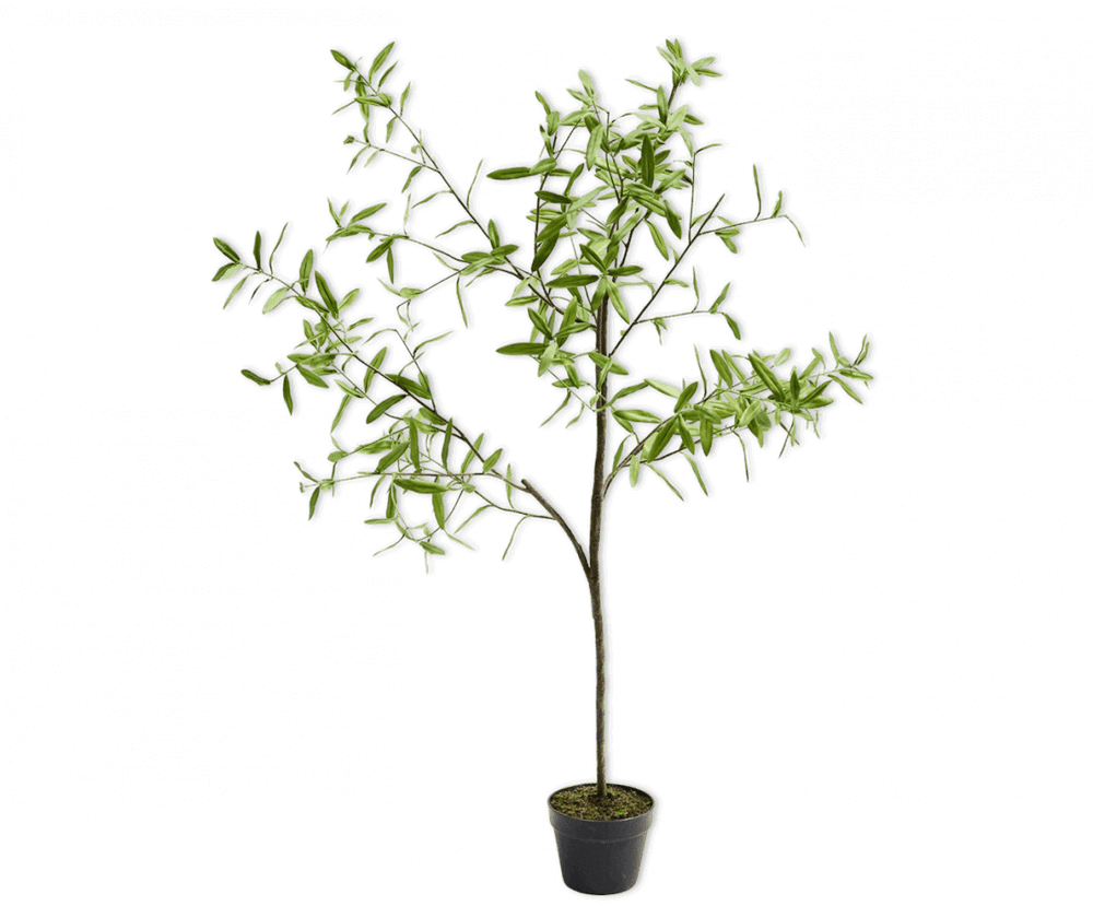Silk-ka olijfboom groen 154 cm