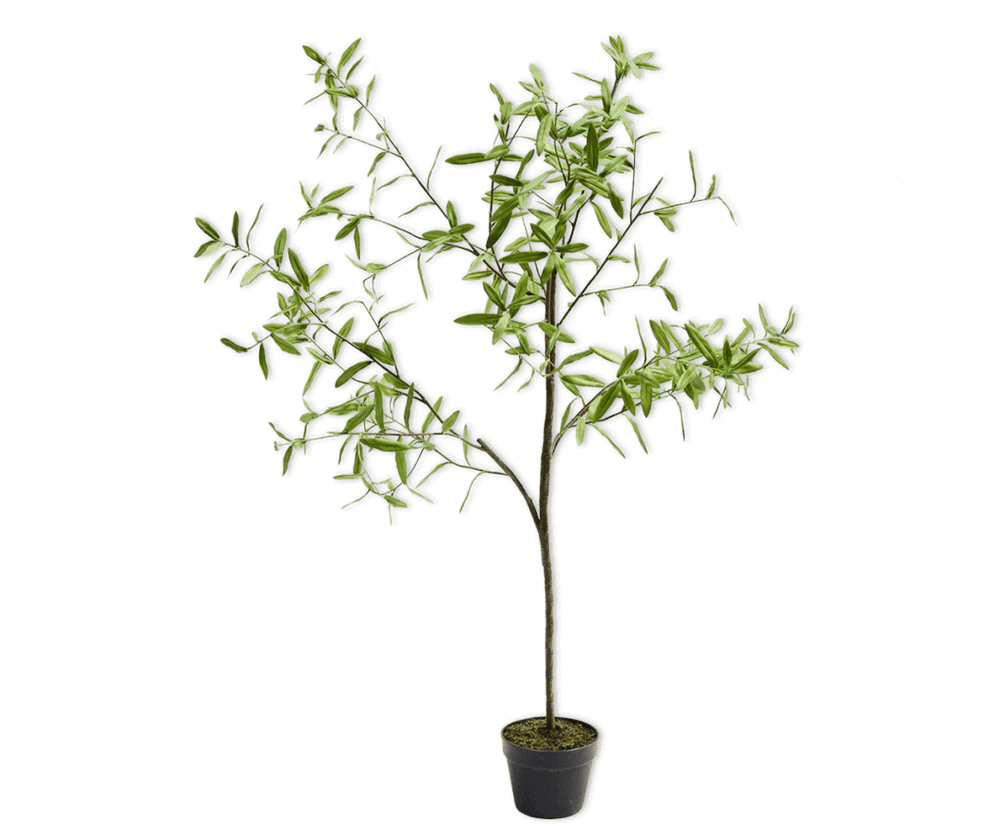 
                  
                    Silk-ka olijfboom groen 154 cm
                  
                