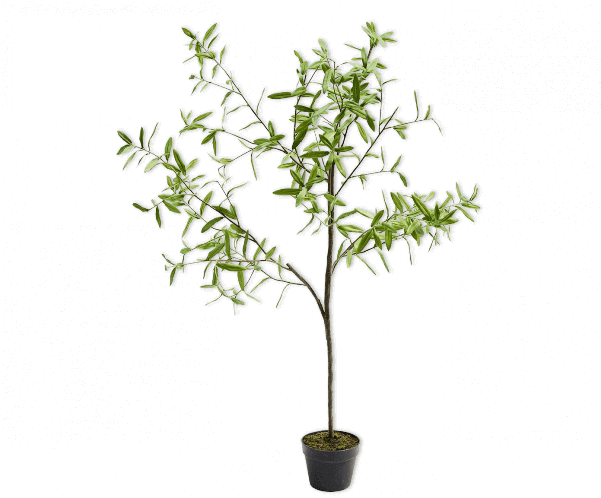
                  
                    Silk-ka olijfboom groen 154 cm
                  
                