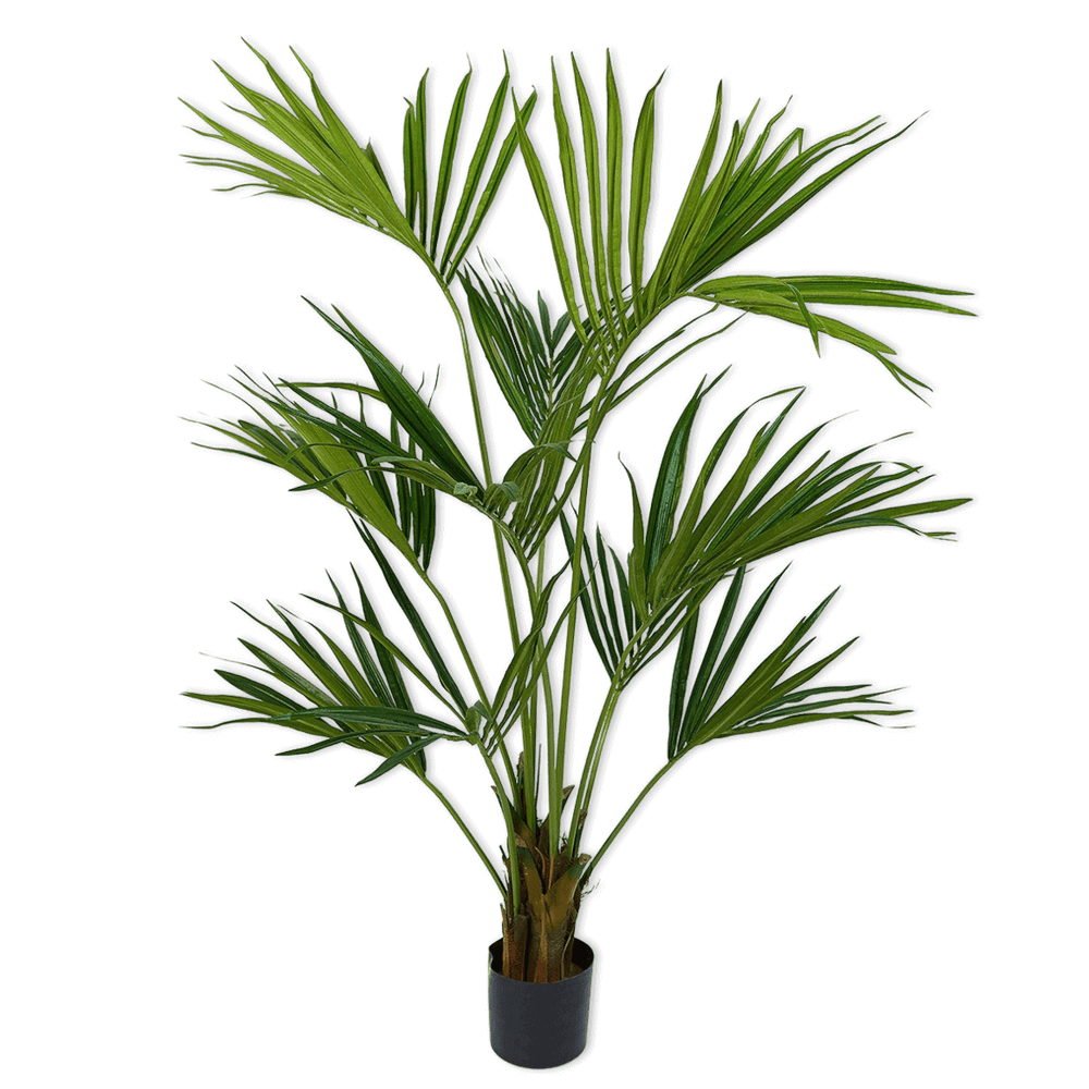 
                  
                    Silk-ka palm groen hoog
                  
                