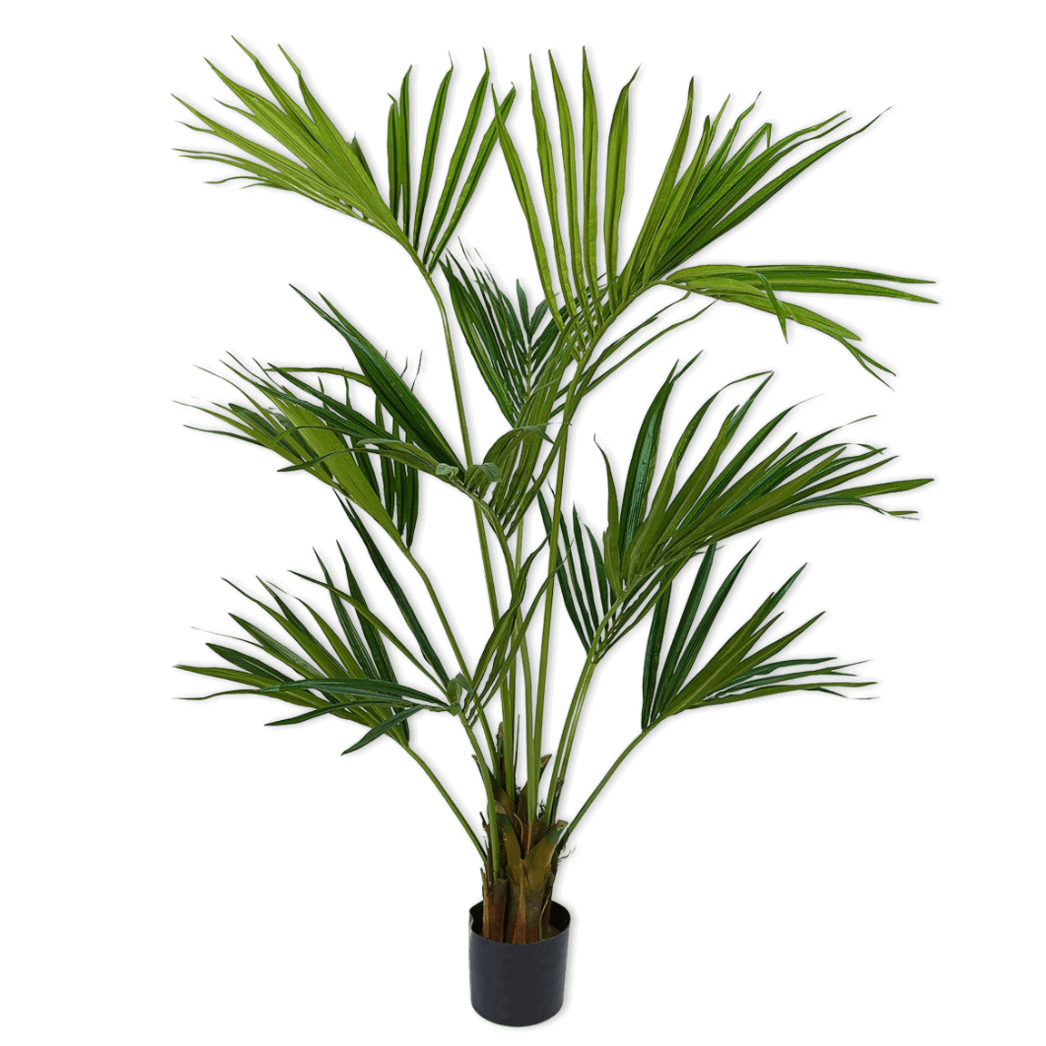 
                  
                    Silk-ka palm groen hoog
                  
                