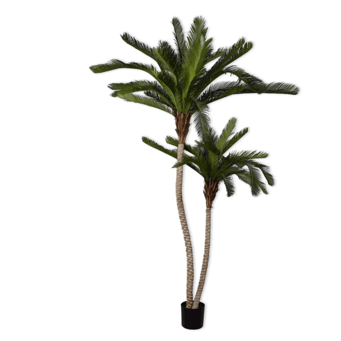 
                  
                    Silk-ka palm groen
                  
                