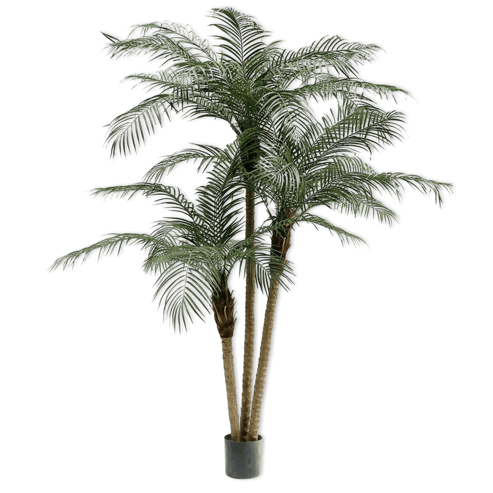 
                  
                    Silk-ka palm groen 183 cm
                  
                