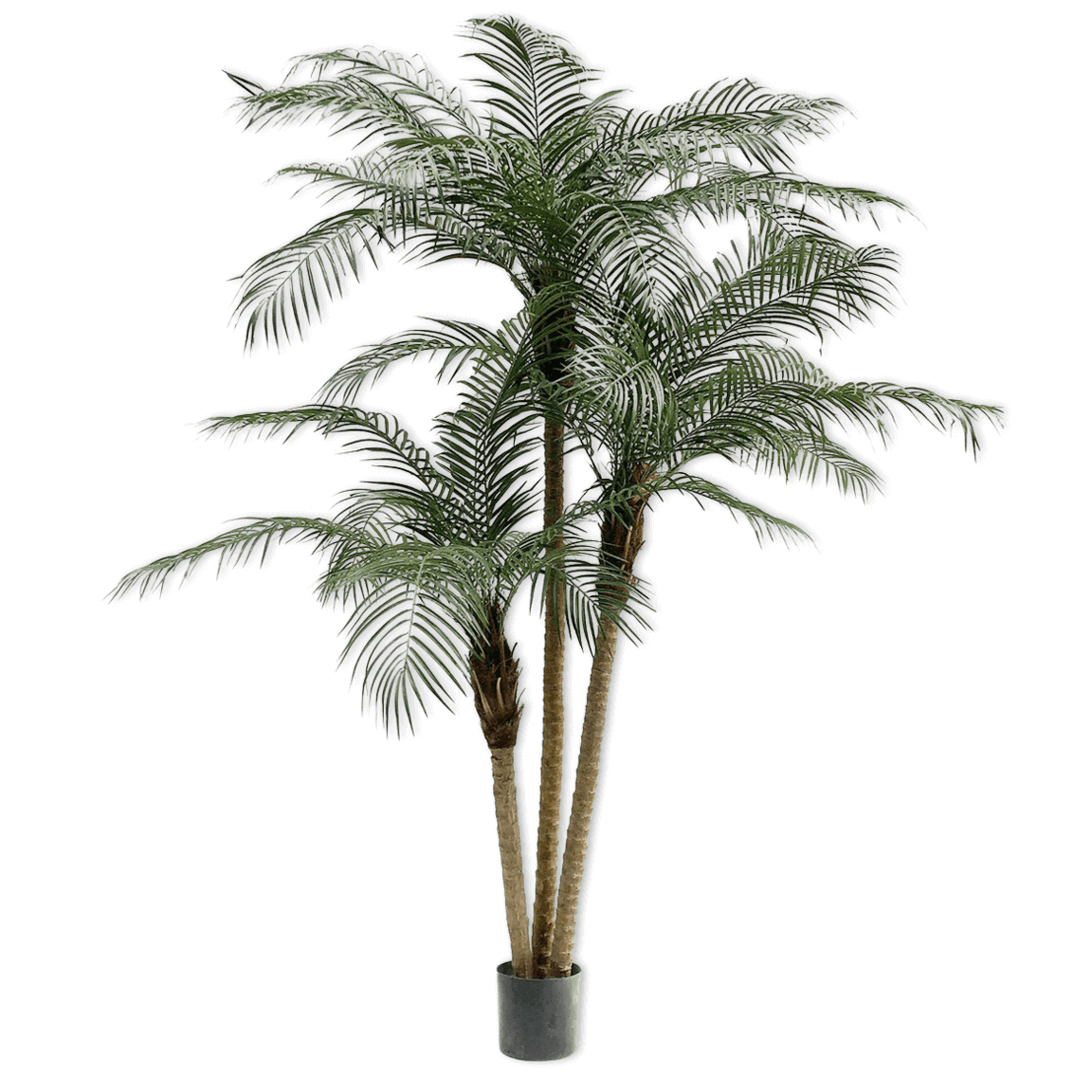 
                  
                    Silk-ka palm groen 183 cm
                  
                