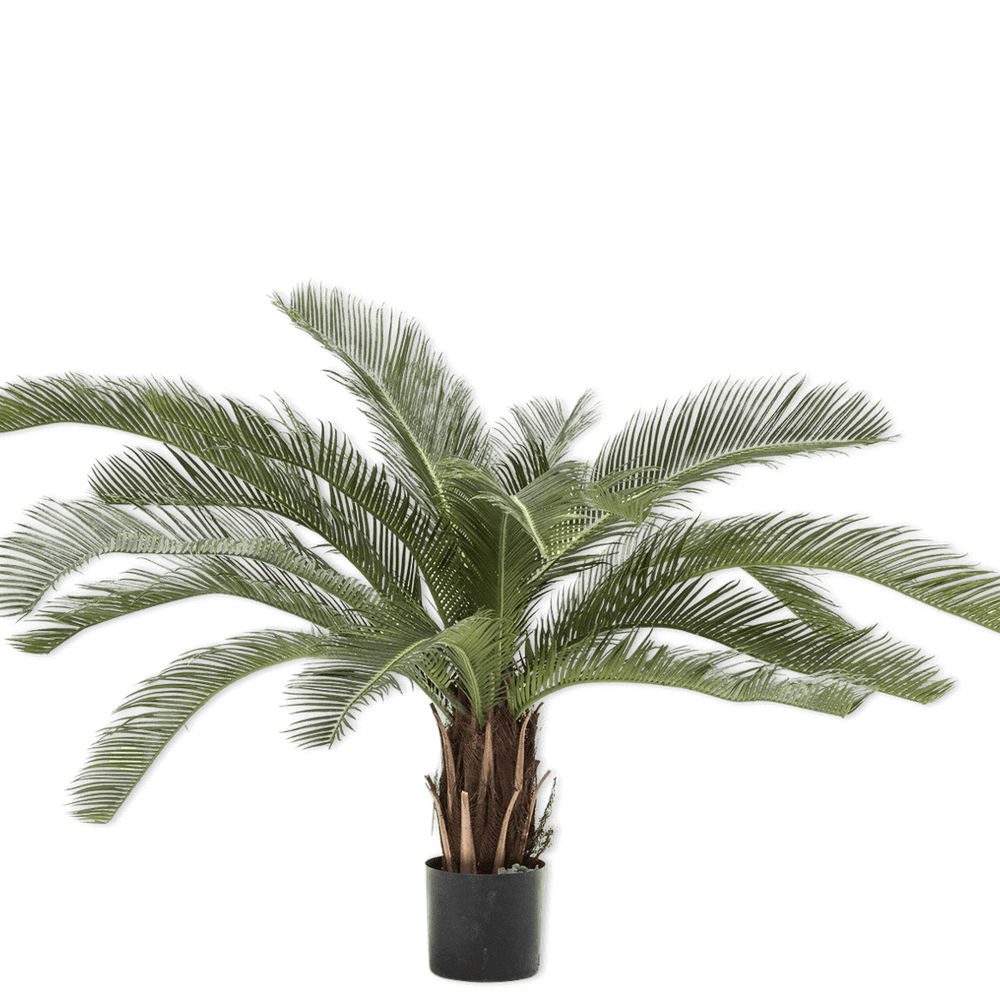 
                  
                    Silk-ka palm groen
                  
                