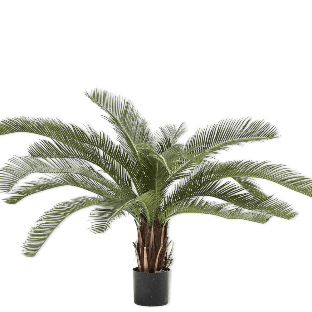 
                  
                    Silk-ka palm groen
                  
                