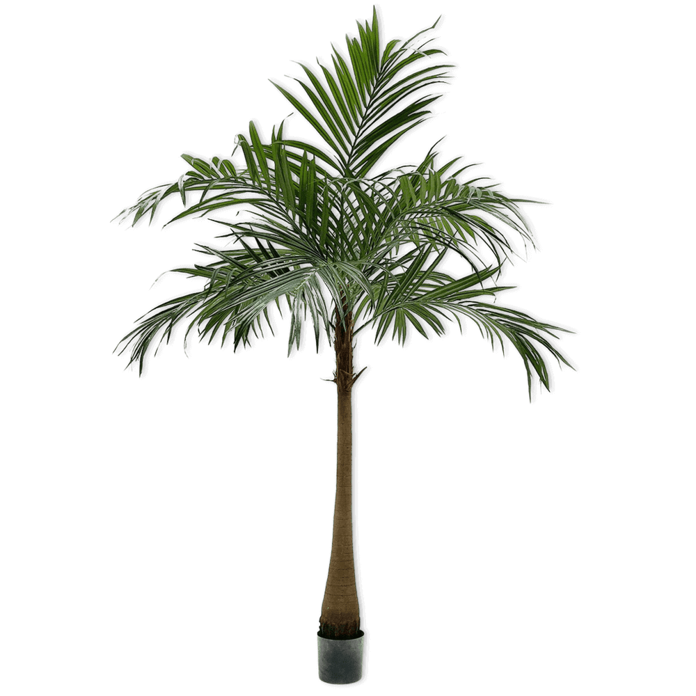 Silk-ka palm op stam groen 190 cm