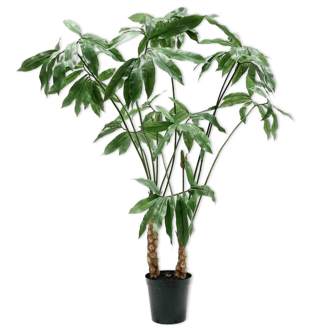 
                  
                    Silk-ka plant groen 204 cm
                  
                