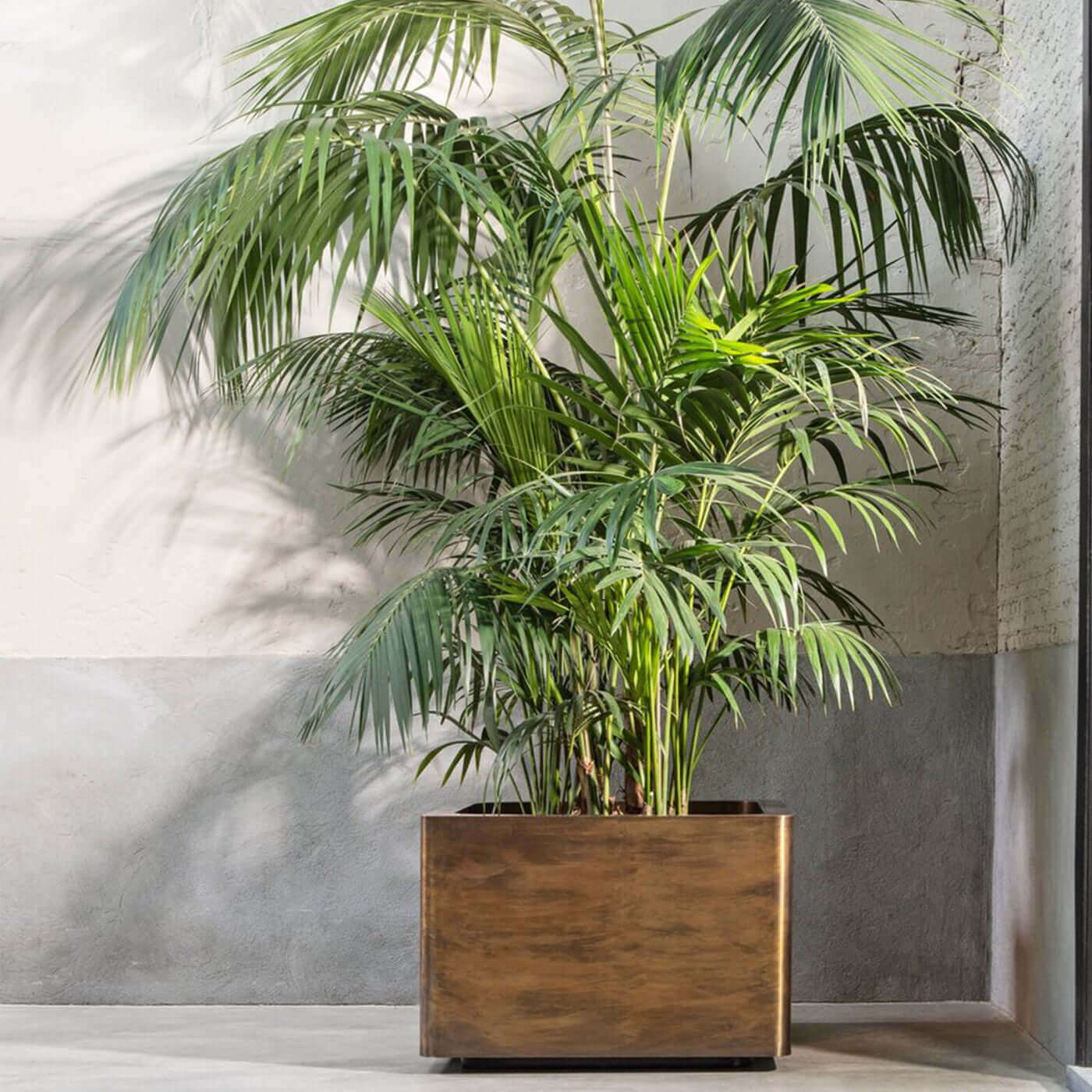 
                  
                    Cuprum Lviv planters cube 110cm
                  
                