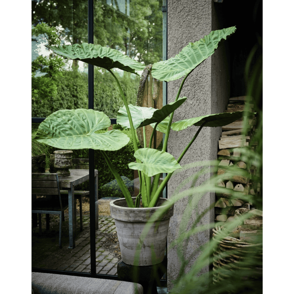 
                  
                    Silk-ka alocasia groen 121 cm
                  
                