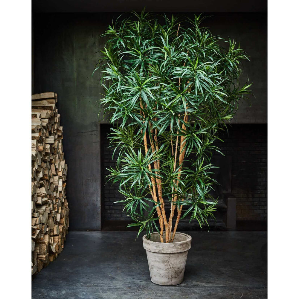
                  
                    Silk-ka dracaena groen 183 cm
                  
                