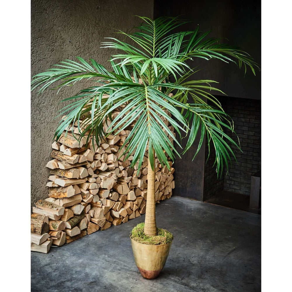 
                  
                    Silk-ka palm op stam groen 190 cm
                  
                
